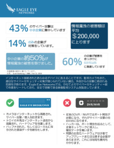 Eagle Eye Cybersecurity One pager pdf 232x300 - Eagle Eye Cybersecurity One-pager